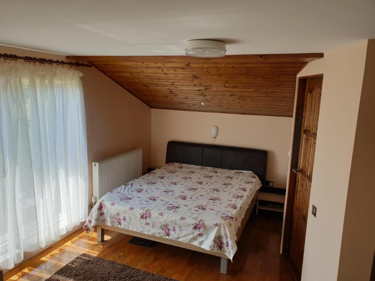 Lidia House Apartment Alba Iulia Exterior photo