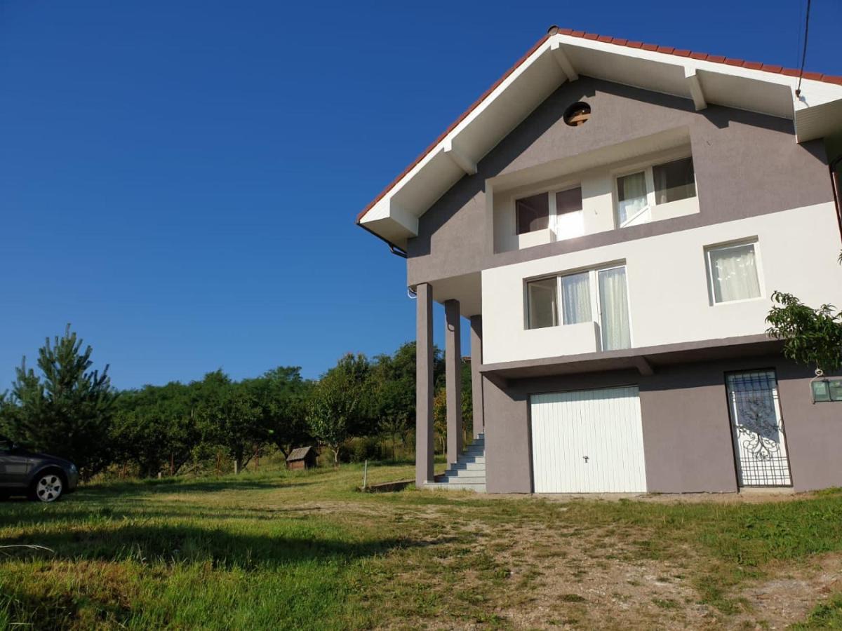 Lidia House Apartment Alba Iulia Exterior photo
