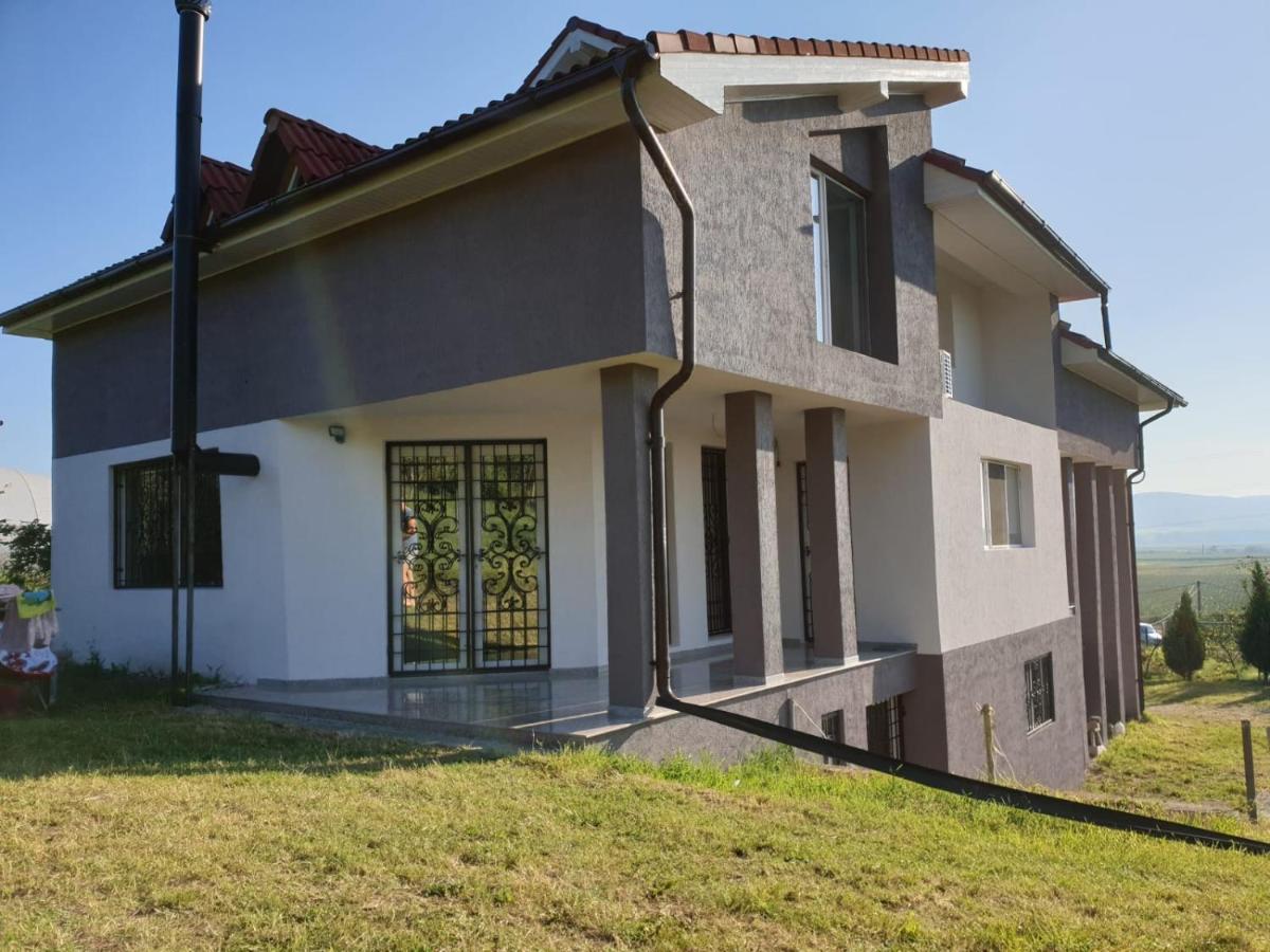Lidia House Apartment Alba Iulia Exterior photo